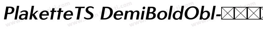 PlaketteTS DemiBoldObl字体转换